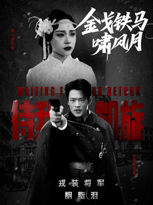 金戈铁马啸风月(54集) 金戈铁马啸风月(54集)短剧在线更新