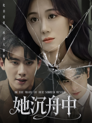 她沉舟中(71集) 她沉舟中(71集)第三季