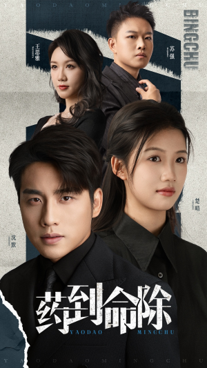 药到命除(72集) 药到命除(72集)全剧看到大结局