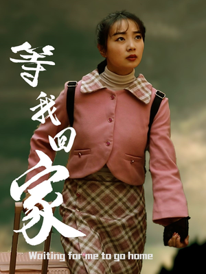 等我回家(23集) 等我回家(23集)全集一网打尽