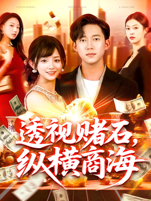 透视赌石,纵横商海(80集) 透视赌石,纵横商海(80集)评价怎么样