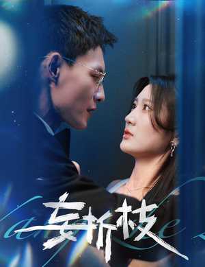 妄折枝(53集) 妄折枝(53集)在线观看