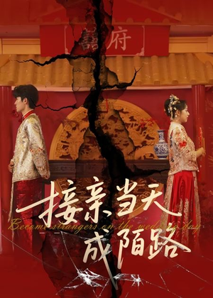 接亲当天成陌路(50集) 接亲当天成陌路(50集)热播古装短剧