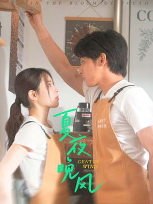 夏夜晚风(12集) 夏夜晚风(12集)全集都在这里了