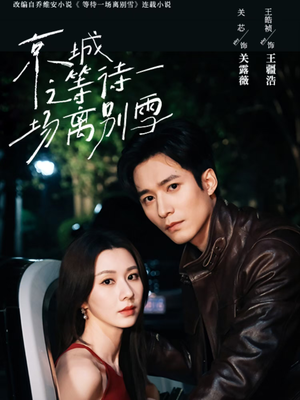 京城之等待一场离别雪（42集）短剧排行榜