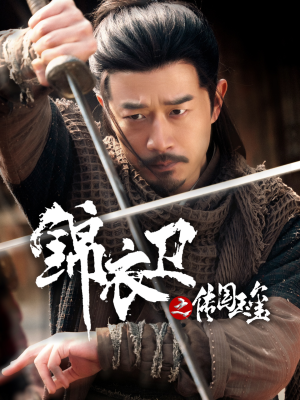 锦衣卫之传国玉玺（60集）一起追短剧吧