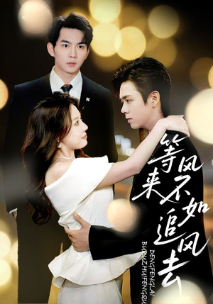 等风来不如追风去(72集) 等风来不如追风去(72集)超级好看的短剧