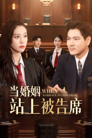 当婚姻站上被告席(30集) 当婚姻站上被告席(30集)在哪个app能看