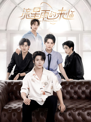 流星雨的来临(40集) 流星雨的来临(40集)演的怎么样