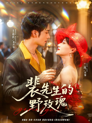 裴先生的野玫瑰(72集) 裴先生的野玫瑰(72集)高清无码免费看