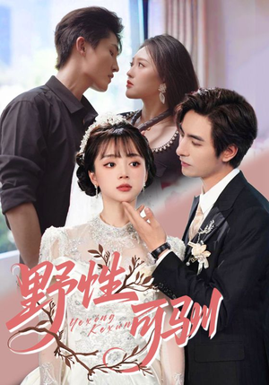 野性可驯(63集) 野性可驯(63集)短剧热播推荐