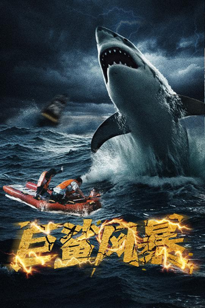 巨鲨风暴(59集) 巨鲨风暴(59集)超好看古装短剧