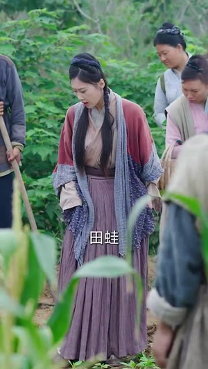 灾荒年农家出了个状元(81集) 灾荒年农家出了个状元(81集)解说