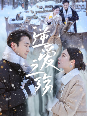 逆爱之殇(60集) 逆爱之殇(60集)免费在线看