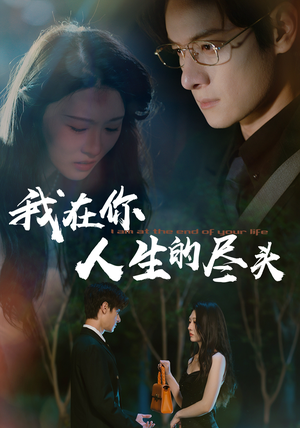 我在你人生的尽头(60集) 我在你人生的尽头(60集)高清画质免费看