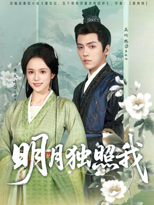 明月独照我(80集) 明月独照我(80集)短剧上热门