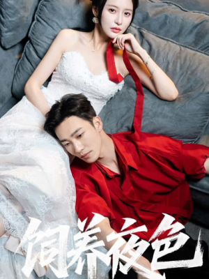 饲养夜色(86集) 饲养夜色(86集)短剧解说全集