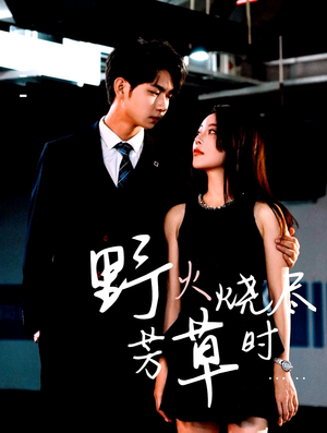 野火烧尽芳草时(65集) 野火烧尽芳草时(65集)演员表