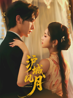 沪城风月(78集) 沪城风月(78集)解说