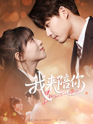 我来陪你(60集) 我来陪你(60集)评价怎么样