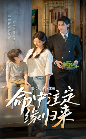 命中注定缘归来（63集）精彩短剧免费看