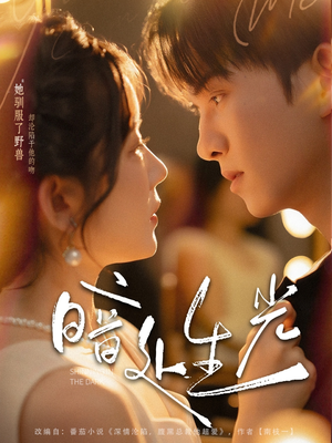 暗处生光(82集) 暗处生光(82集)深深爱上这部剧