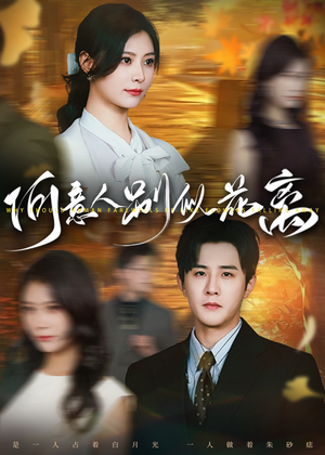 何意人别似花离(61集) 何意人别似花离(61集)恋爱短剧分享