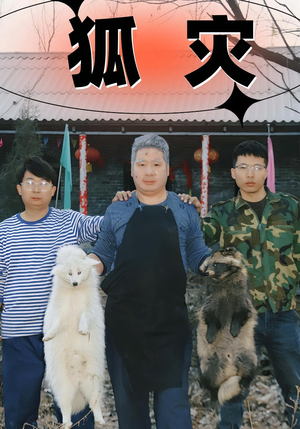 狐灾(25集) 狐灾(25集)免费观看就是爽