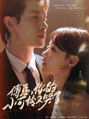 傅总你的小可怜又哭了(80集) 傅总你的小可怜又哭了(80集)每天分享短剧