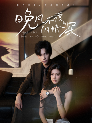 晚风不渡旧情深(70集) 晚风不渡旧情深(70集)经典回顾免费看