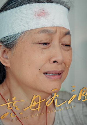 慈母无泪(30集) 慈母无泪(30集)短剧完整版免费