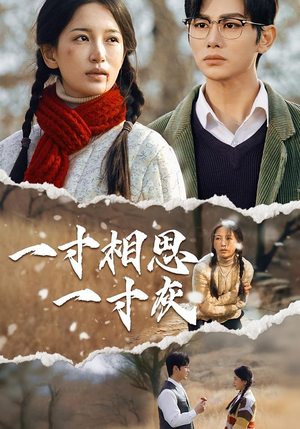 一寸相思一寸灰(43集) 一寸相思一寸灰(43集)独家短剧免费看
