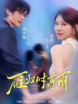 雁归时有雨(84集) 雁归时有雨(84集)口碑爆棚免费看