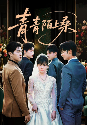 青青陌上桑（70集）最火爆短剧