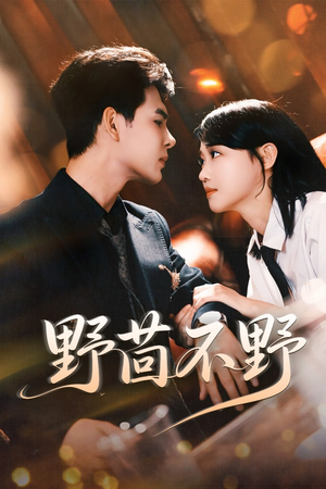 野茴不野(67集) 野茴不野(67集)短剧完整版免费