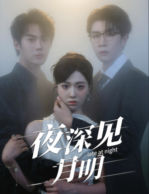 夜深见月明(50集) 夜深见月明(50集)全网独播免费看