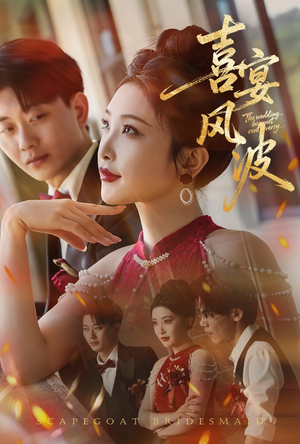 喜宴风波&替罪伴娘(30集) 喜宴风波&替罪伴娘(30集)好看的短剧分享