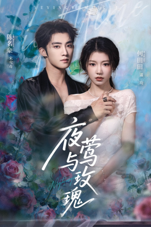夜莺与玫瑰(66集) 夜莺与玫瑰(66集)最新短剧抢先看