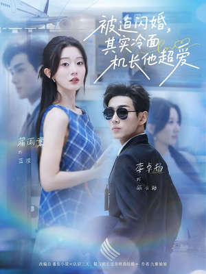 被迫闪婚其实冷面机长他超爱(77集) 被迫闪婚其实冷面机长他超爱(77集)温柔追捕短剧