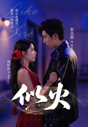 似火(80集) 似火(80集)战神短剧推荐