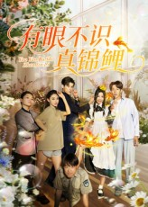 有眼不识真锦鲤(35集) 有眼不识真锦鲤(35集)女主谁演的