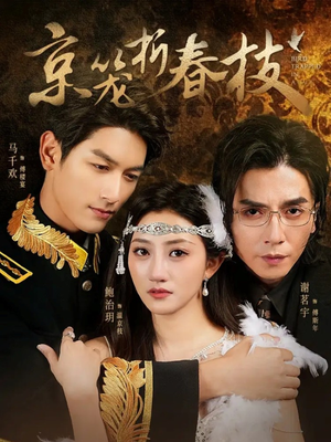 京笼折春枝(79集) 京笼折春枝(79集)民国短剧推荐