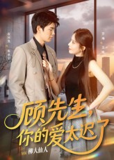 顾先生你的爱太迟了(60集) 顾先生你的爱太迟了(60集)热门短剧排行榜