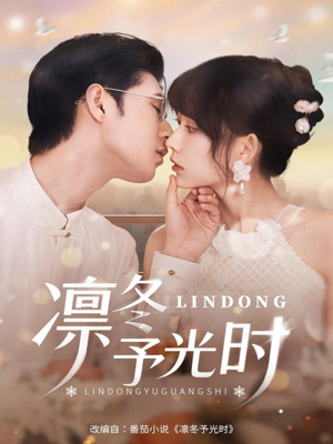 凛冬予光时(60集) 凛冬予光时(60集)每日短剧推荐