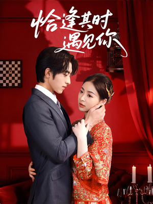 恰逢其时遇见你（60集）最新热播短剧
