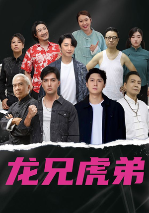 龙兄虎弟中文版(60集) 龙兄虎弟中文版(60集)我真的爱了