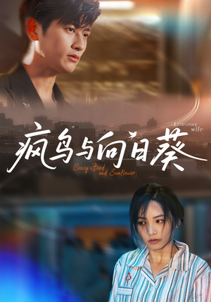 疯鸟与向日葵(40集) 疯鸟与向日葵(40集)太好看了短剧