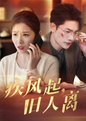 疾风起旧人离(32集) 疾风起旧人离(32集)最新短剧推荐