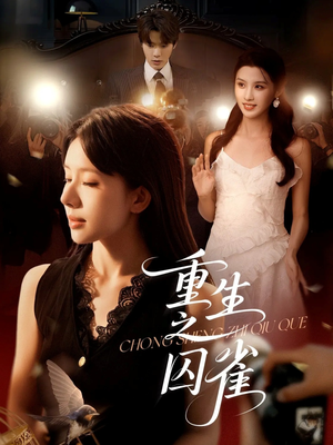 重生之囚雀(75集) 重生之囚雀(75集)追风的女孩短剧