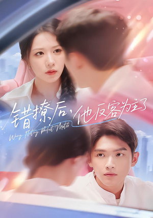 错撩后他反客为主了(72集) 错撩后他反客为主了(72集)第一季
